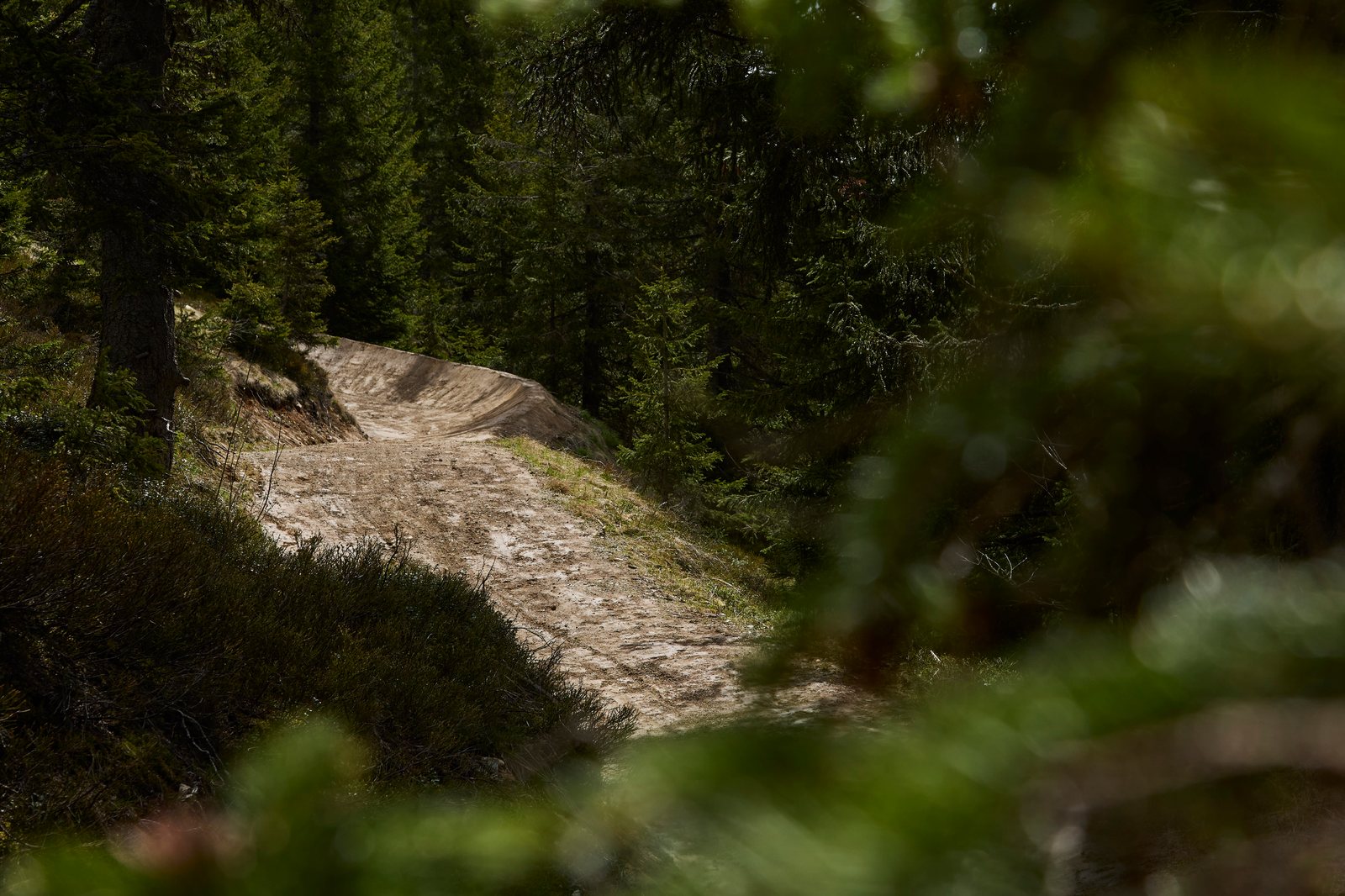 Panorama Line - Detail 2
