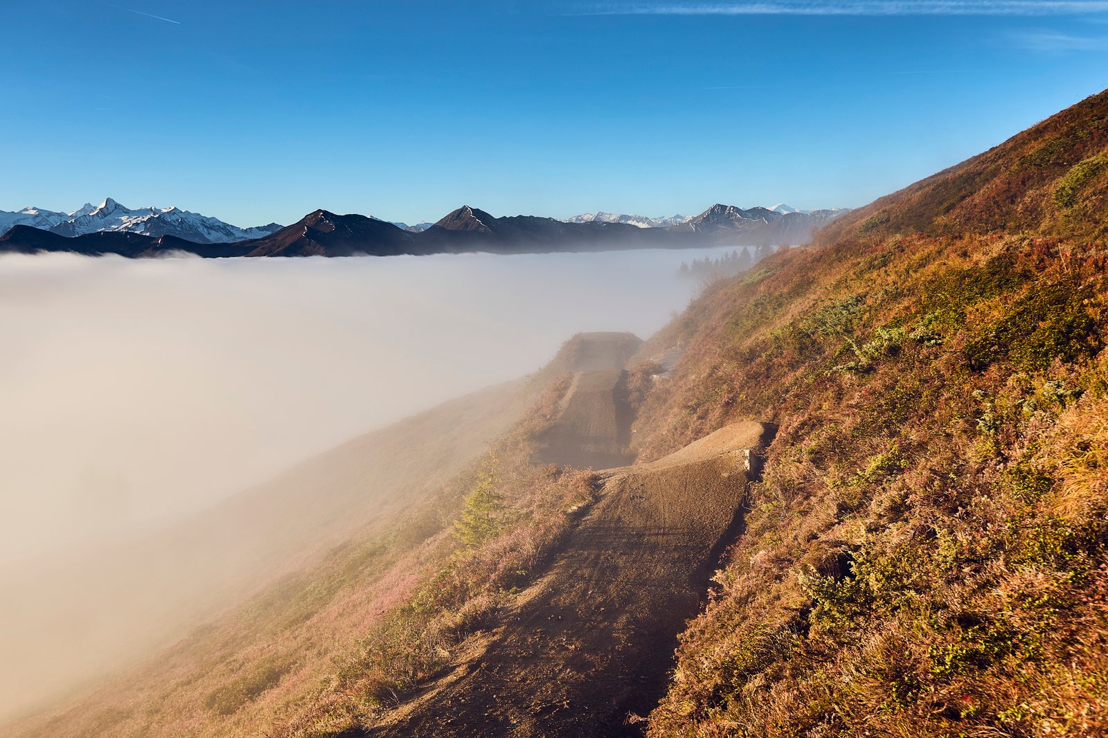 Moderner Flowtrail mit Anliegern, Wellen und Kickern im Bereich Schönleiten.